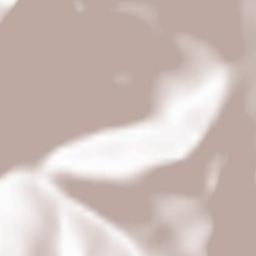 Yakutat City and Borough Terrain Map