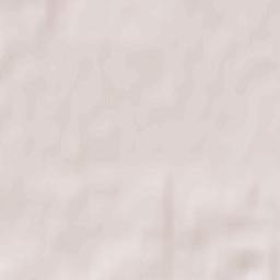 Begunitsy Terrain Map