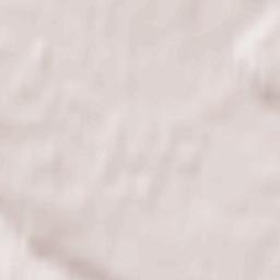 Pikalëvo Terrain Map