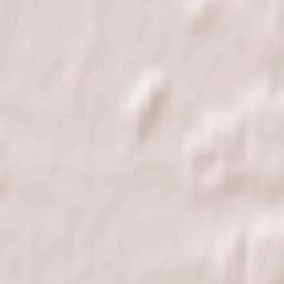 Volosovo Terrain Map