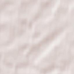 Tosnenskiy Rayon Terrain Map