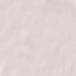 Rakvere vald Terrain Map