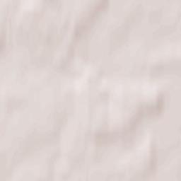 Dubrovka Terrain Map