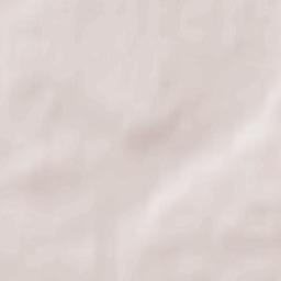 Nelazskoye Terrain Map