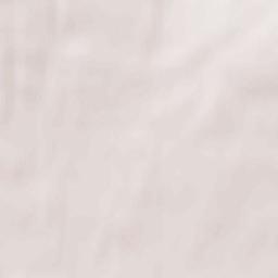 Severnyy-Kospashskiy Terrain Map