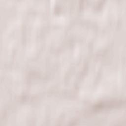 Slantsevskiy Rayon Terrain Map