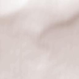 Olyokminsky District Terrain Map