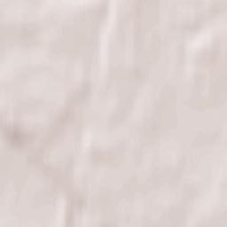 Tolmachevo Terrain Map