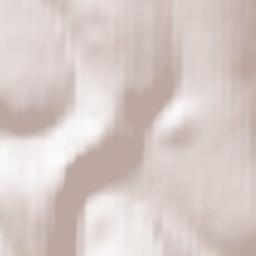 Shirokovskiy Terrain Map