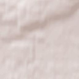 Fort Nelson Terrain Map