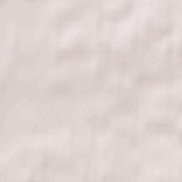 Luzhskiy Rayon Terrain Map