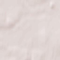 Zarubino Terrain Map