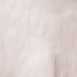 Shumikhinskiy Terrain Map