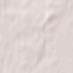 Pestovskiy Rayon Terrain Map