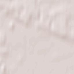 Peipsiääre vald Terrain Map