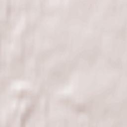 Moshenskoye Terrain Map