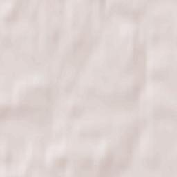 Pasegovo Terrain Map