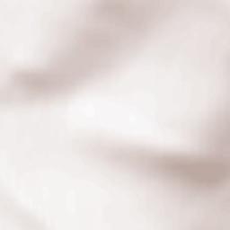 Kropotkin Terrain Map