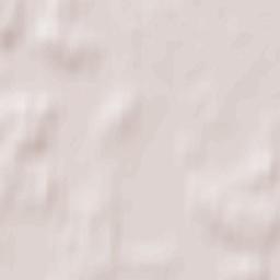 Tori vald Terrain Map