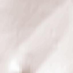 Lebedinyy Terrain Map