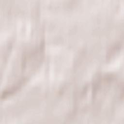 Prechistoye Terrain Map