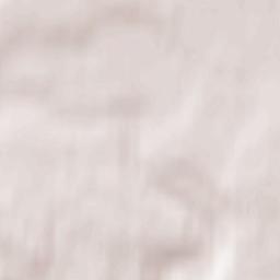 Borovichi Terrain Map