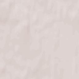 Tartu linn Terrain Map