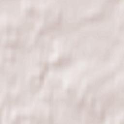 Kambja vald Terrain Map