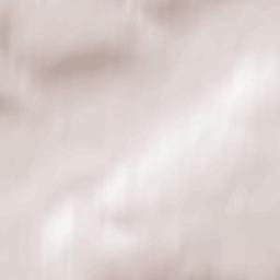 Susanino Terrain Map