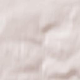 Mendeleyevo Terrain Map