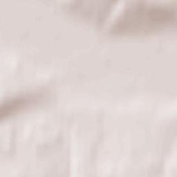 Chaykovskaya Terrain Map