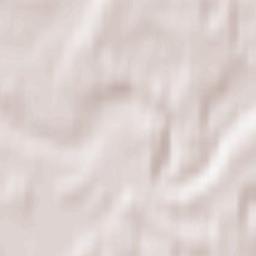 Staicele Terrain Map