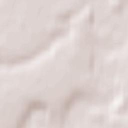 Ostrovskoye Terrain Map