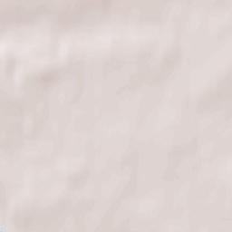 Bezhetsk Terrain Map