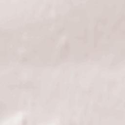 Nikolo-Pavlovskoye Terrain Map