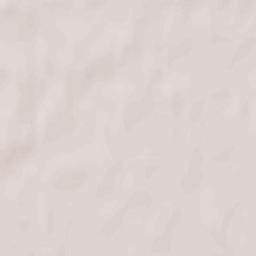 Novyy Izborsk Terrain Map