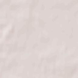 Porkhovskiy Rayon Terrain Map