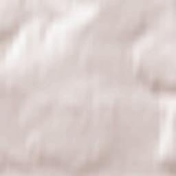 Zvëzdnyy Terrain Map