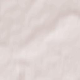 Bol’shoye Selo Terrain Map