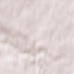 Demyanskiy Rayon Terrain Map