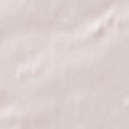 Pizhanskiy Rayon Terrain Map