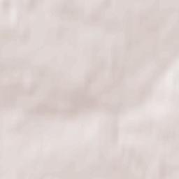 Vydropuzhsk Terrain Map