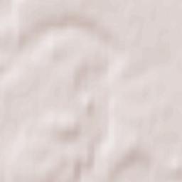 Novopistsovo Terrain Map