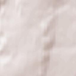 Chastyye Terrain Map