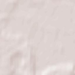 Carnikava Terrain Map