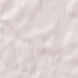 Vangaži Terrain Map