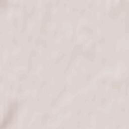 Novorzhevskiy Rayon Terrain Map