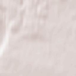 Torzhokskiy Rayon Terrain Map