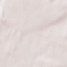 Novotor”yal’skiy Rayon Terrain Map