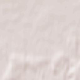 Troitskiy Terrain Map